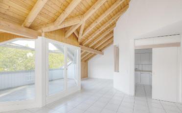 Roof flat 3.5 rooms - image - 3