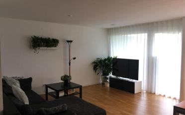 Wohnung 3.5 Zimmer - image - 1