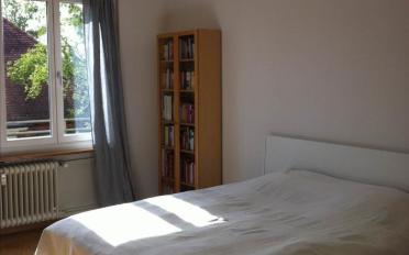 Wohnung 2.5 Zimmer - image - 5