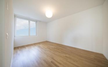 Wohnung 2.5 Zimmer - image - 5