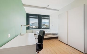 Wohnung ein Zimmer - image - 6