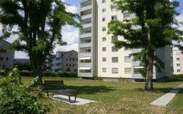 Wohnung 3 Zimmer - image - 2