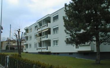 Wohnung 2.5 Zimmer - image - 1