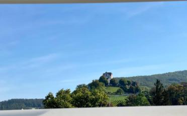 Wohnung 8 Zimmer - image - 13