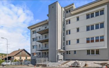 Wohnung 2.5 Zimmer - image - 1