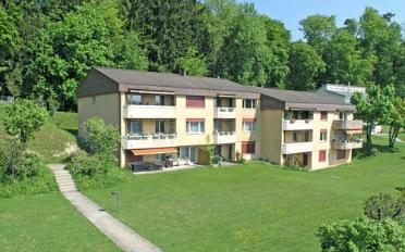 Wohnung 2.5 Zimmer - image - 1