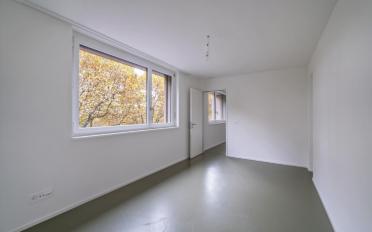 Wohnung 2.5 Zimmer - image - 4