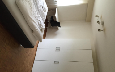 Wohnung 2.5 Zimmer - image - 5