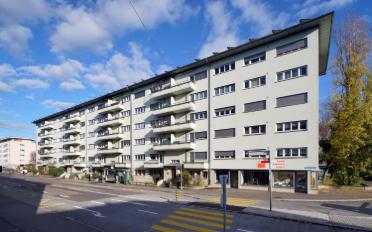 Wohnung 2.5 Zimmer - image - 1