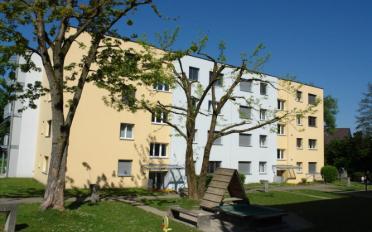Wohnung 3.5 Zimmer - image - 1