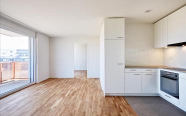 Dachwohnung 3.5 Zimmer - image - 2