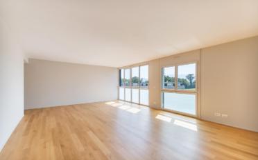 Wohnung 3.5 Zimmer - image - 2