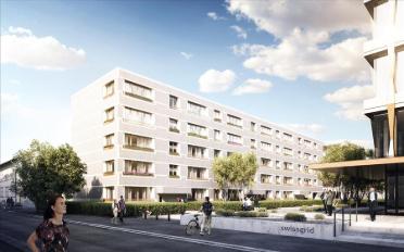 Apartment 2.5 rooms - image - 1