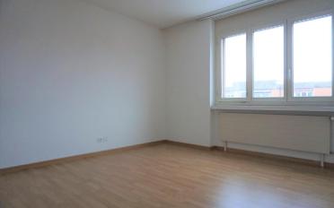 Wohnung 5.5 Zimmer - image - 5