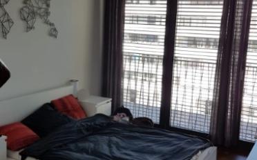 Wohnung 4 Zimmer - image - 7