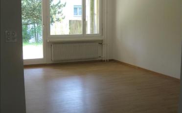 Apartment 2.5 rooms - image - 2