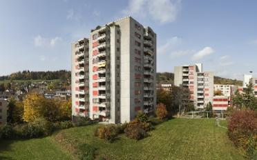 Wohnung 3.5 Zimmer - image - 1
