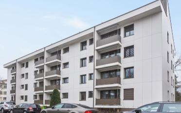 Wohnung ein Zimmer - image - 1