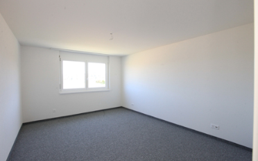 Appartement 4.5 pièces - image - 4