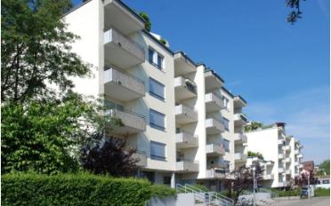 Wohnung 2.5 Zimmer - image - 1