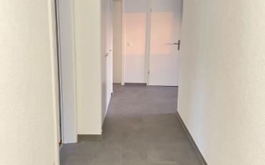 Dachwohnung 3.5 Zimmer - image - 8