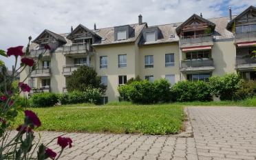 Wohnung 3.5 Zimmer - image - 1