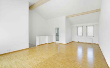 Duplex 3.5 rooms - image - 11