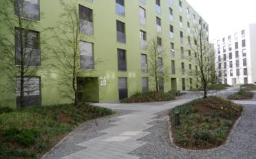 Wohnung 2.5 Zimmer - image - 1