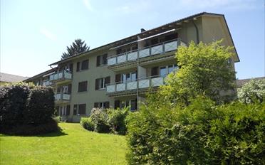 Wohnung ein Zimmer - image - 1