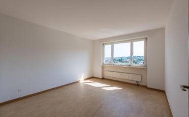 Apartment 2.5 rooms - image - 5