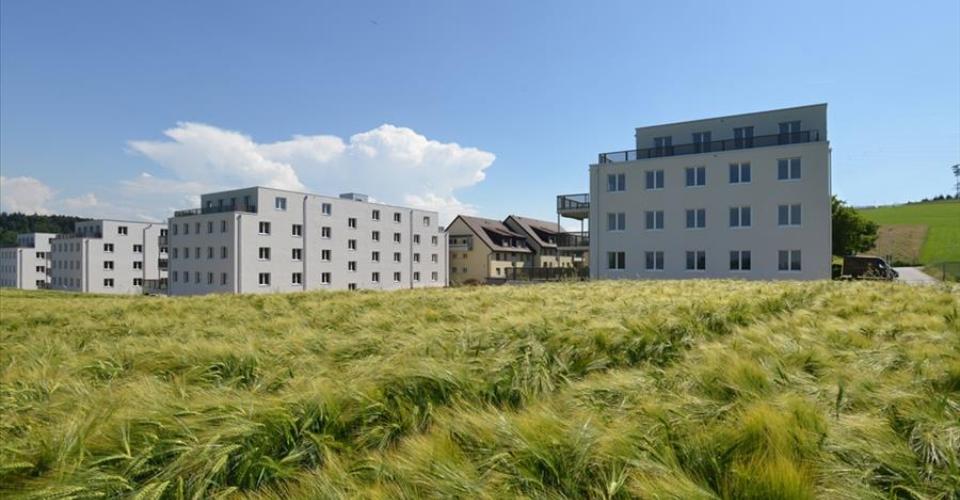 Niederwangen b. Bern