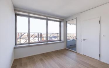 Wohnung 2.5 Zimmer - image - 3