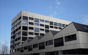 Wohnung 2.5 Zimmer - image - 1