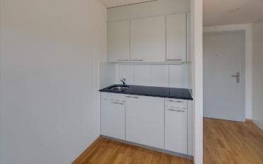 Apartment 1 room - image - 4