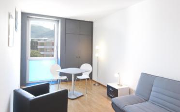 Furnished flat 1.5 rooms - image - 4