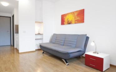Furnished flat 1.5 rooms - image - 3