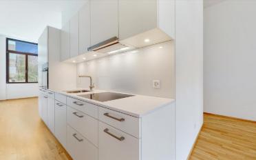 Apartment 2.5 rooms - image - 3