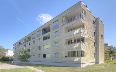 Wohnung 2.5 Zimmer - image - 2