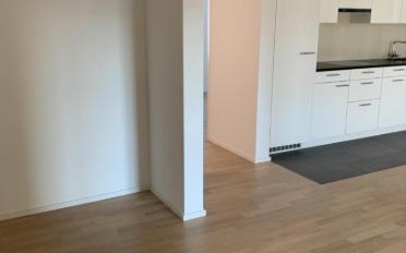 Appartement 2.5 pièces - image - 10
