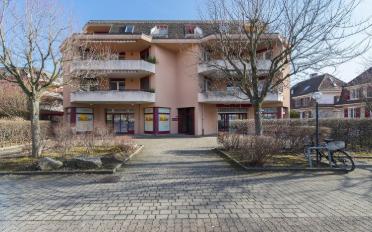 Wohnung 2.5 Zimmer - image - 1