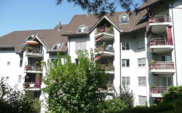 Wohnung 3.5 Zimmer - image - 1