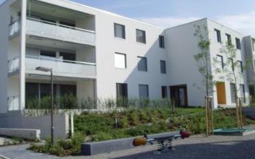 Wohnung 3.5 Zimmer - image - 2