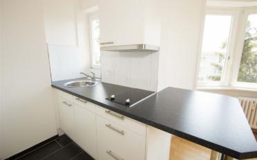 Wohnung ein Zimmer - image - 4