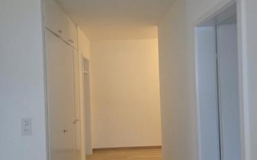 Wohnung 1.5 Zimmer - image - 5