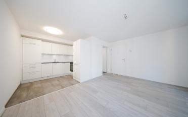 Wohnung 1.5 Zimmer - image - 4
