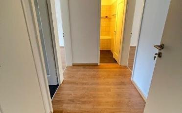 Wohnung 2.5 Zimmer - image - 4