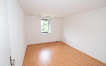 Wohnung 3.5 Zimmer - image - 10