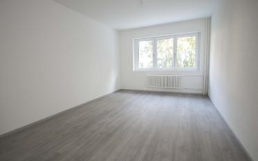 Wohnung 2 Zimmer - image - 7
