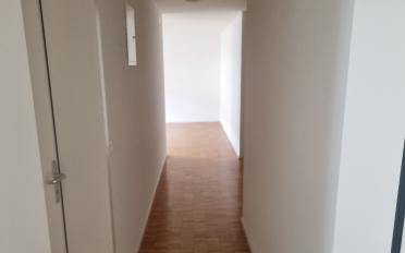 Wohnung 2.5 Zimmer - image - 5
