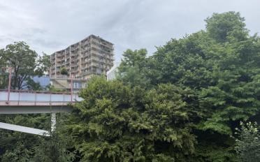 Wohnung 1.5 Zimmer - image - 1